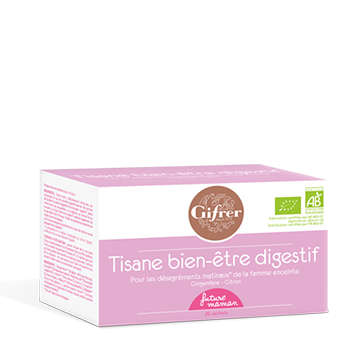 Gifrer_Tisane_bienEtreDigestif