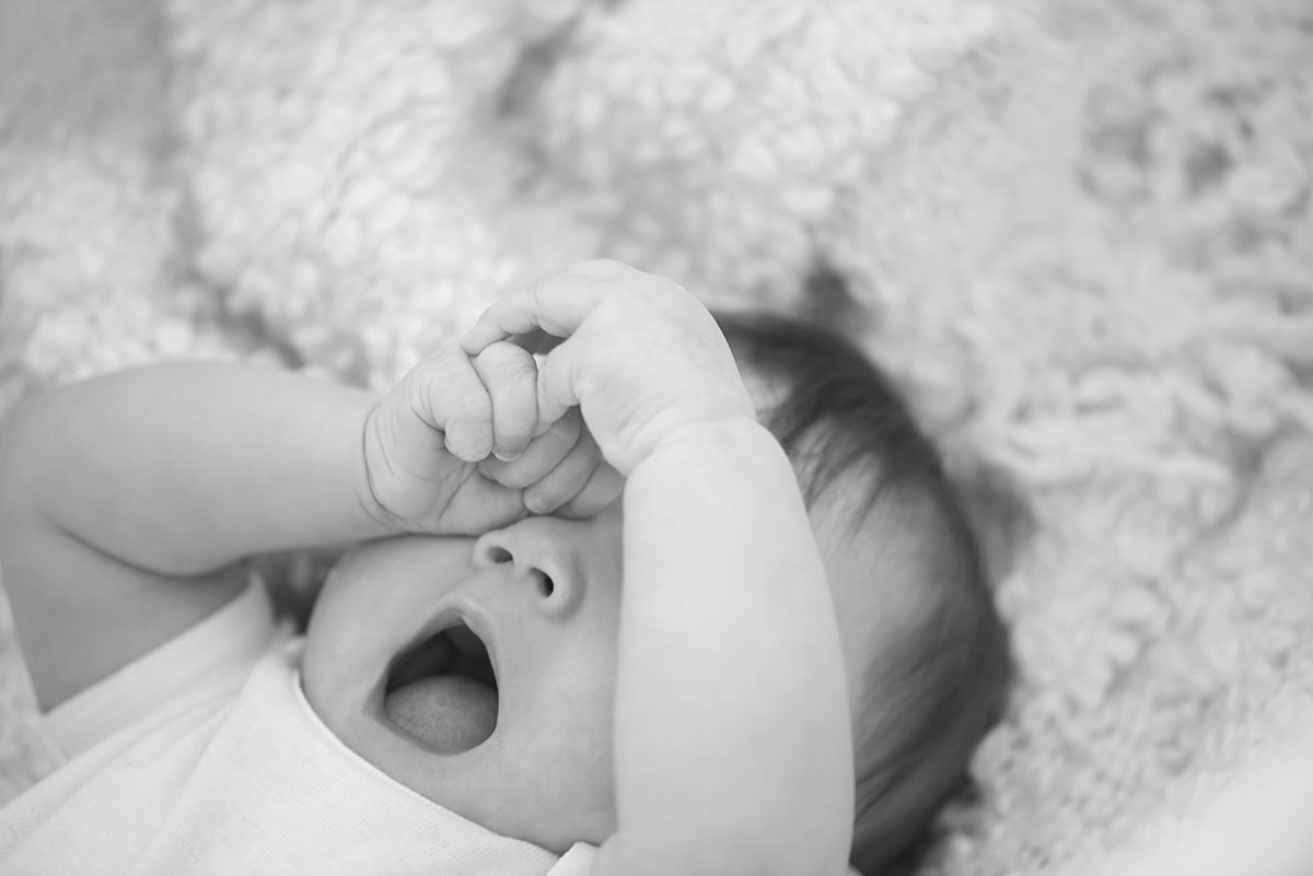gifrer_000049742374_Full-nb